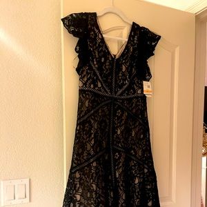 Taylor evening  dress size 2p new with tags stunning black and nude